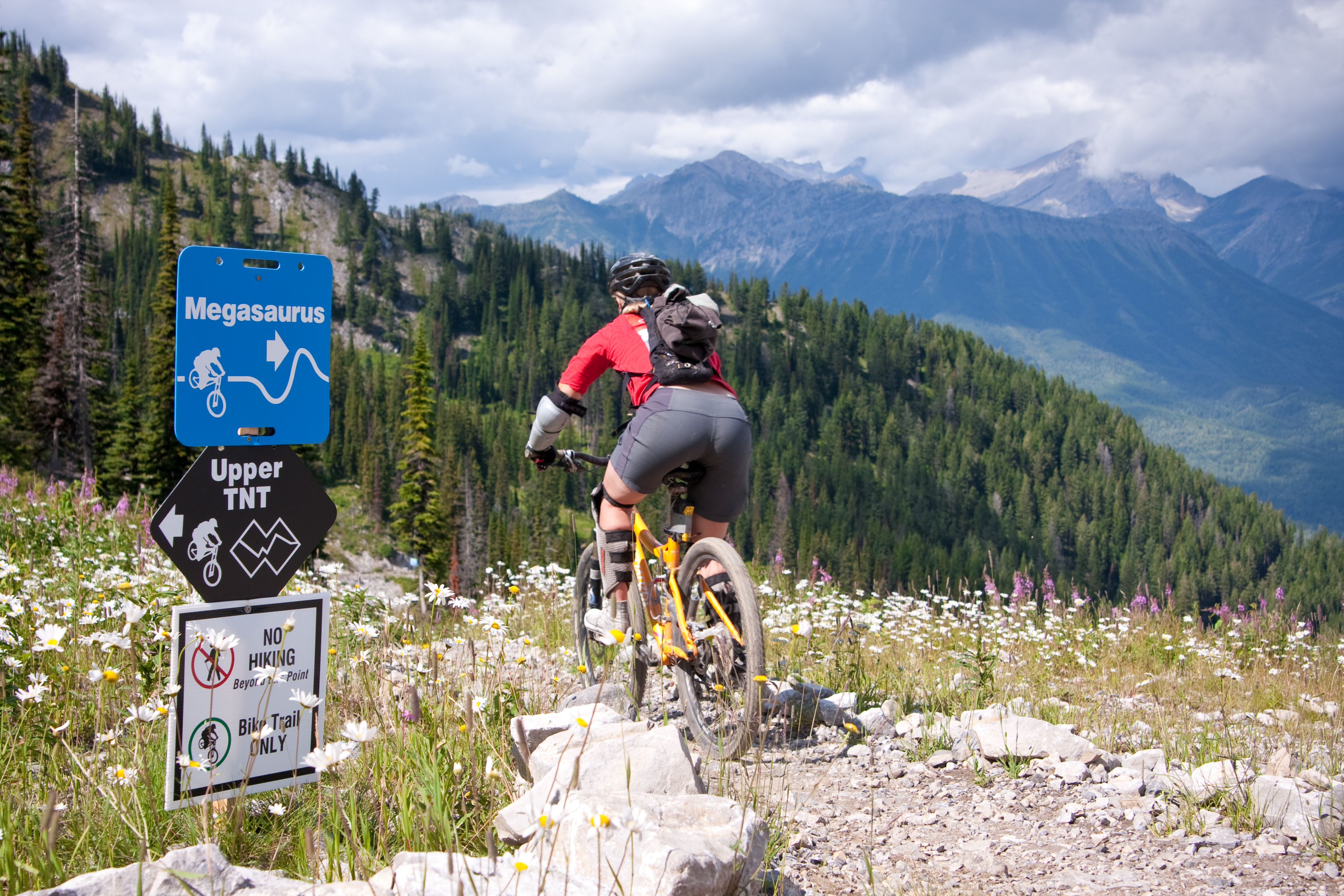 Bike Trails in Fernie