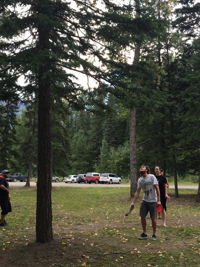 Frolf in Fernie