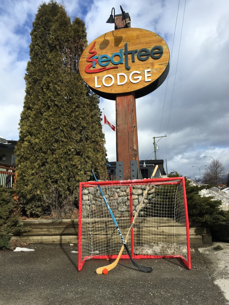 Street Hockey equipment to borrow at the Red Tree Lodge