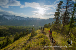 Biking Adventures in Fernie