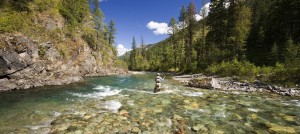 Fly fishing on the Elk River