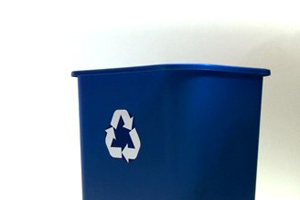 Green Fernie Hotel - recycling