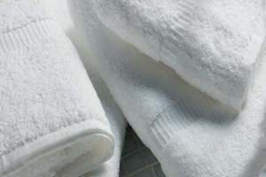 Green Fernie Hotel - reduce towel use