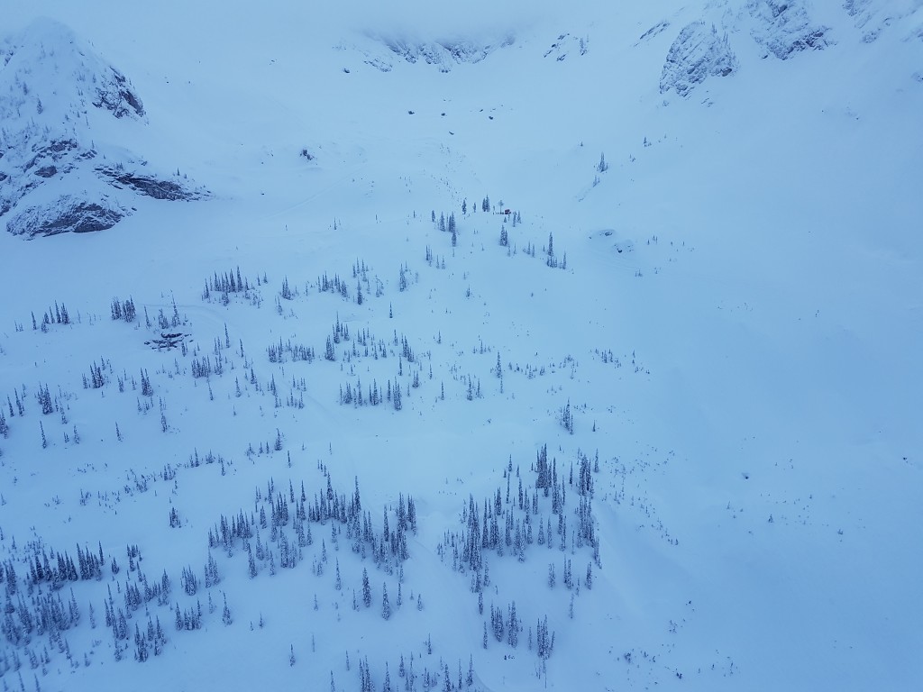 catskiing view from helicopter