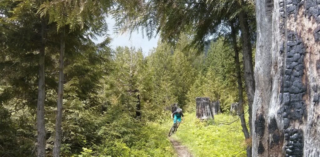 Mountain Biking in Fernie