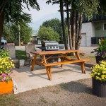 BBQ and Picnic Table