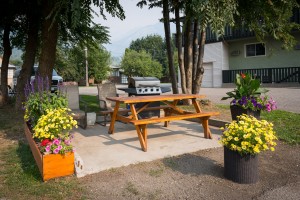 BBQ and Picnic Table