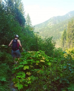 Hiking in Fernie BC