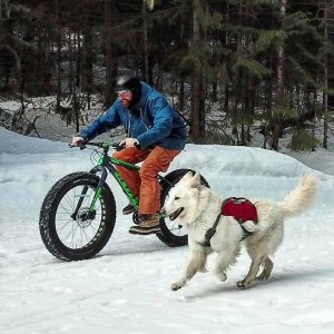 Snowbiking with your dog